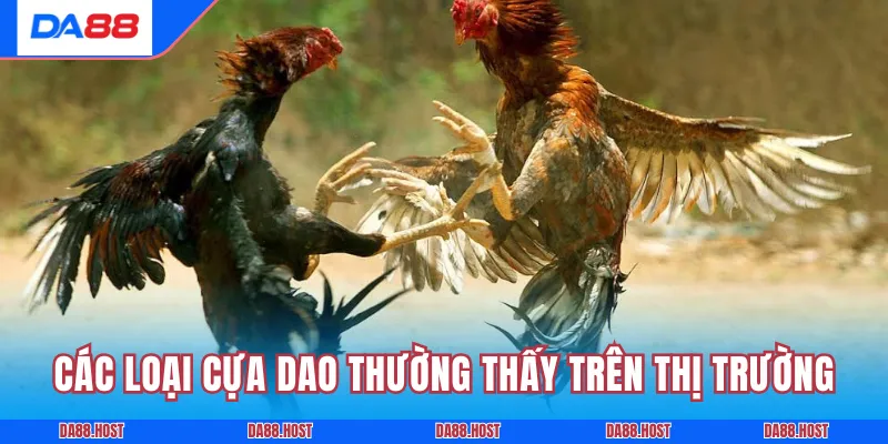 Các loại cựa dao thường thấy trên thị trường