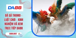 Đá Gà Cựa Sắt - Chiến Thuật Và Kinh Nghiệm Thi Đấu Tại DA88